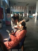 同一场比赛，两个团队同时邀请水墨学校为参赛